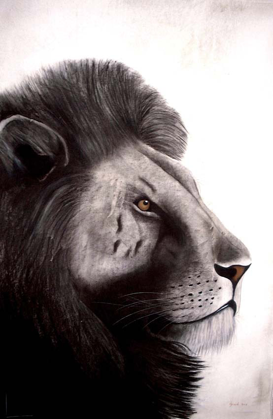 Leo lion Thierry Bisch artiste peintre animaux tableau art  nature biodiversité conservation  