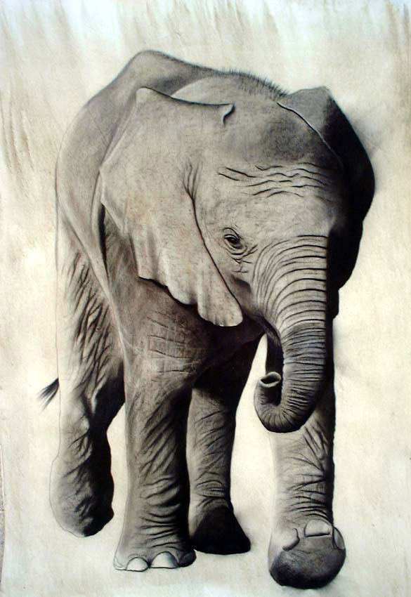 Elephanteau élephant-élephanteau-elephant Thierry Bisch artiste peintre animaux tableau art  nature biodiversité conservation Monaco Prince-Albert Fondation-Prince-Albert-de-Monaco 