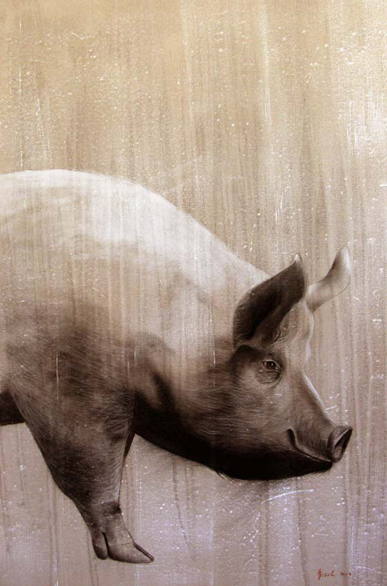 Cochon Cochon-porc Thierry Bisch artiste peintre animaux tableau art  nature biodiversité conservation  