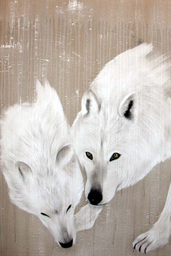 WHITE WOLVES Loups-loup-blanc Thierry Bisch artiste peintre animaux tableau art  nature biodiversité conservation  