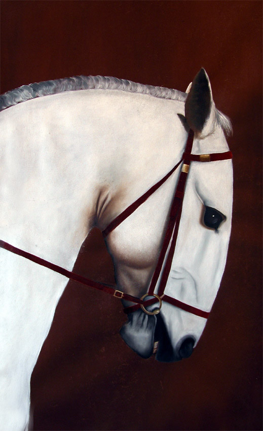 Horse cheval Thierry Bisch artiste peintre contemporain animaux tableau art décoration biodiversité conservation 