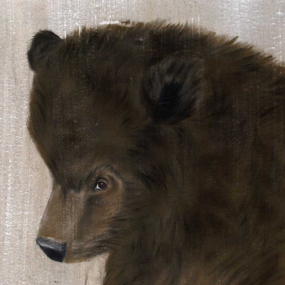 BEAR CUB ourson-ours Thierry Bisch artiste peintre contemporain animaux tableau art  nature biodiversité conservation  