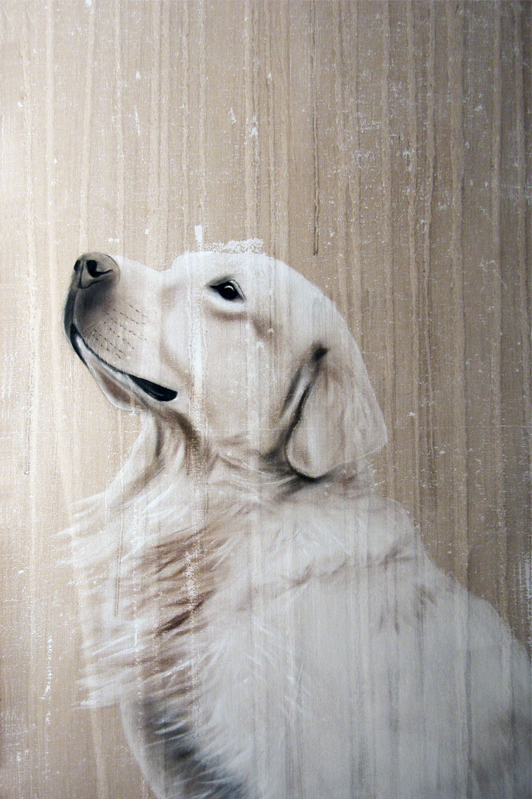 RALPH chien-labrador-golden-retriever-de-chasse-blanc-animal-familier Thierry Bisch artiste peintre animaux tableau art  nature biodiversité conservation  