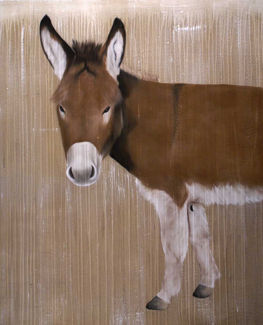 Romeo âne-ane Thierry Bisch artiste peintre animaux tableau art  nature biodiversité conservation Monaco Prince-Albert Fondation-Prince-Albert-de-Monaco 