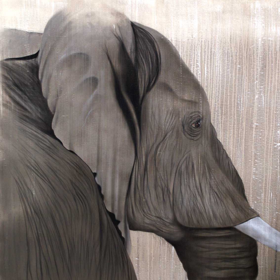 ELEPHANT-12 éléphant- Thierry Bisch artiste peintre animaux tableau art  nature biodiversité conservation Monaco Prince-Albert Fondation-Prince-Albert-de-Monaco 