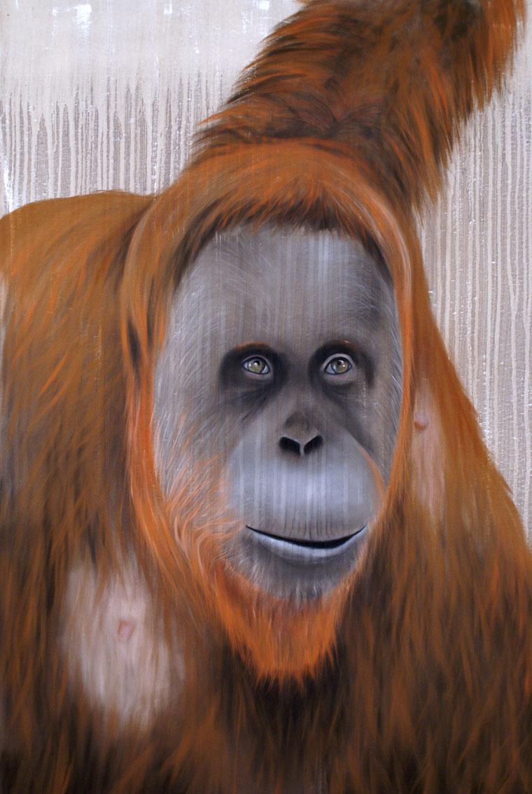Orang-outang Orangutan-orang-outan Thierry Bisch artiste peintre animaux tableau art  nature biodiversité conservation  