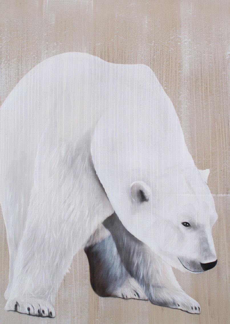 POLAR BEAR - 10 ours-polaire-blanc Thierry Bisch artiste peintre animaux tableau art  nature biodiversité conservation Monaco Prince-Albert Fondation-Prince-Albert-de-Monaco 