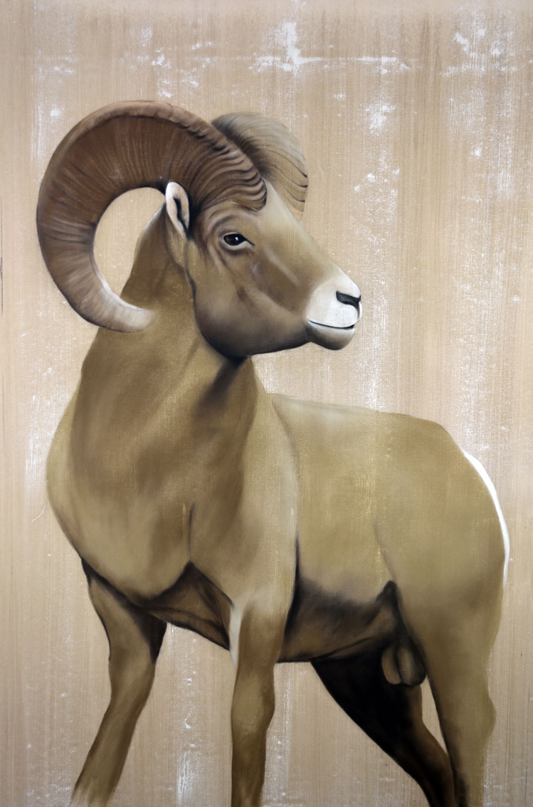 BIGHORN Mouflon- Thierry Bisch artiste peintre contemporain animaux tableau art  nature biodiversité conservation  