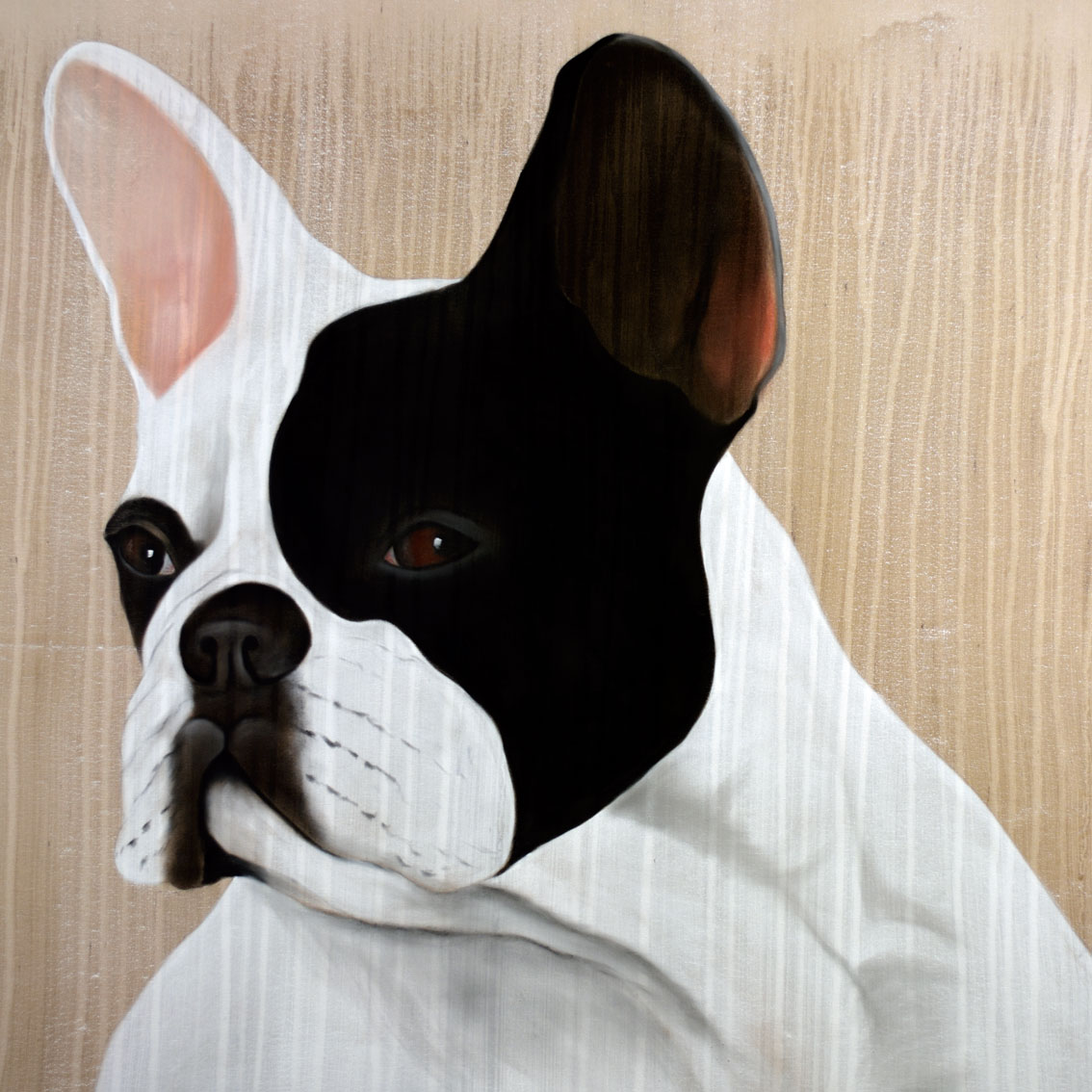 MR-FRENCHY bouledogue-français-chien-animal-familier Thierry Bisch artiste peintre animaux tableau art  nature biodiversité conservation Monaco Prince-Albert Fondation-Prince-Albert-de-Monaco 