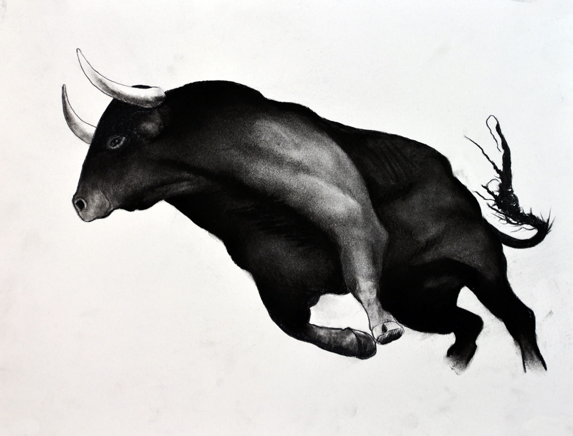 BULL-04 peinture-animalière Thierry Bisch artiste peintre animaux tableau art  nature biodiversité conservation Monaco Prince-Albert Fondation-Prince-Albert-de-Monaco 