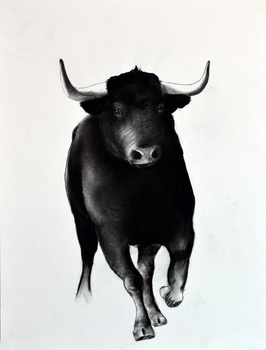 BULL-06 peinture-animalière Thierry Bisch artiste peintre animaux tableau art  nature biodiversité conservation Monaco Prince-Albert Fondation-Prince-Albert-de-Monaco 