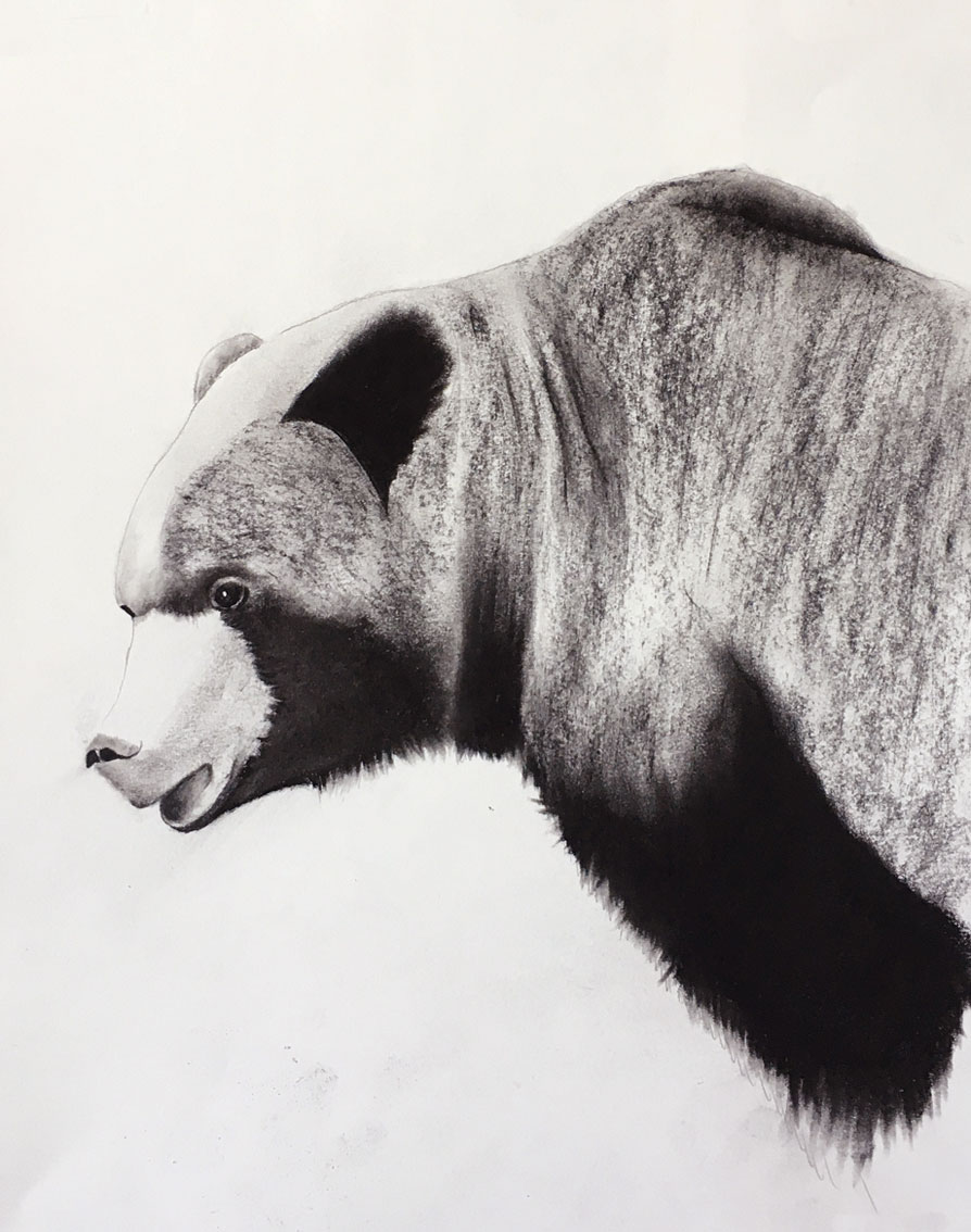 GRIZZLY-06 peinture-animalière Thierry Bisch artiste peintre animaux tableau art  nature biodiversité conservation  