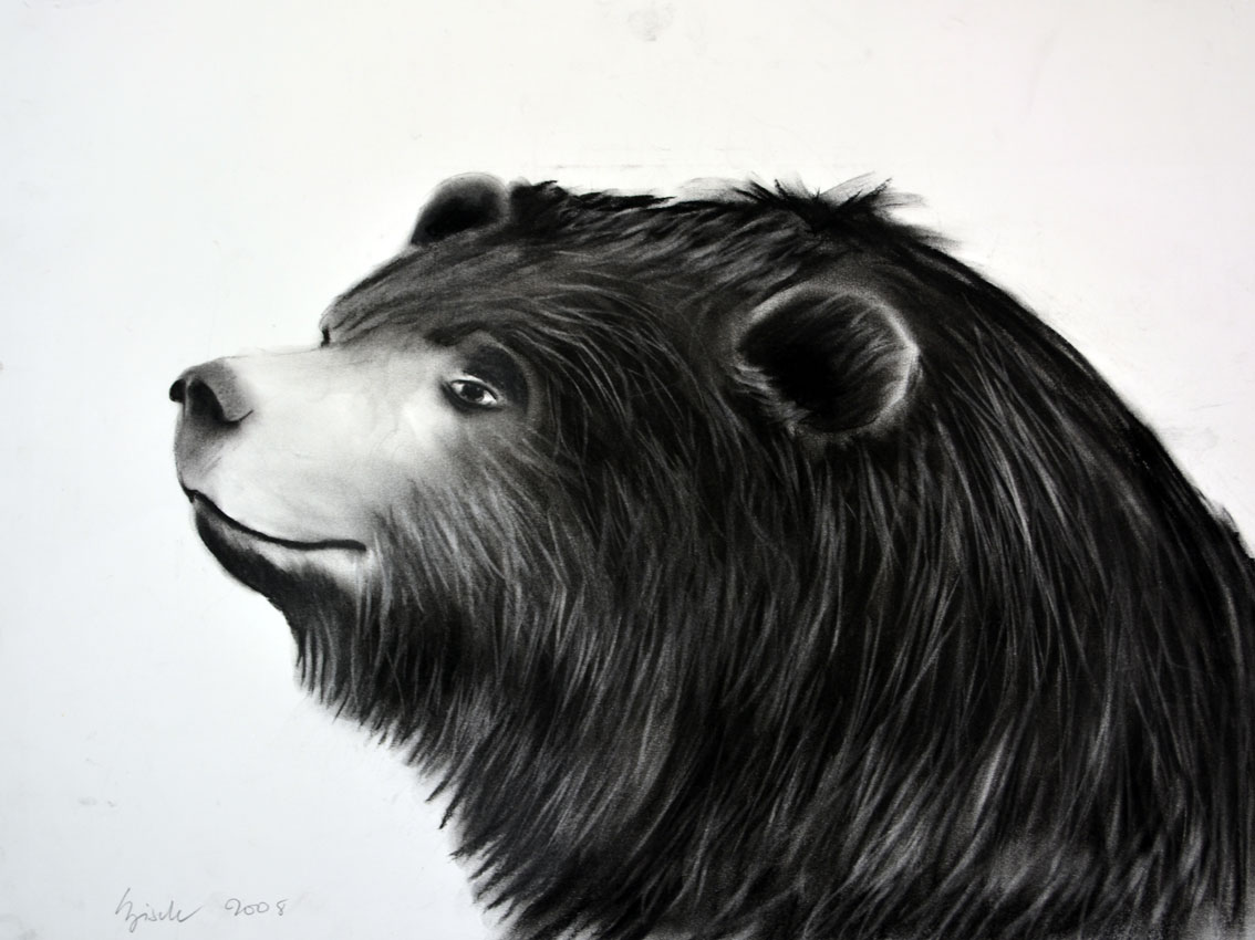 KODIAK peinture-animalière Thierry Bisch artiste peintre animaux tableau art  nature biodiversité conservation Monaco Prince-Albert Fondation-Prince-Albert-de-Monaco 