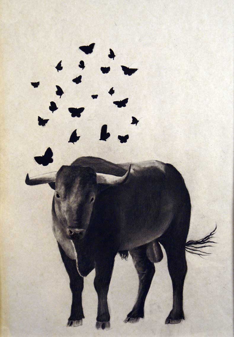 Iselito Taureau-papillon Thierry Bisch artiste peintre animaux tableau art  nature biodiversité conservation  