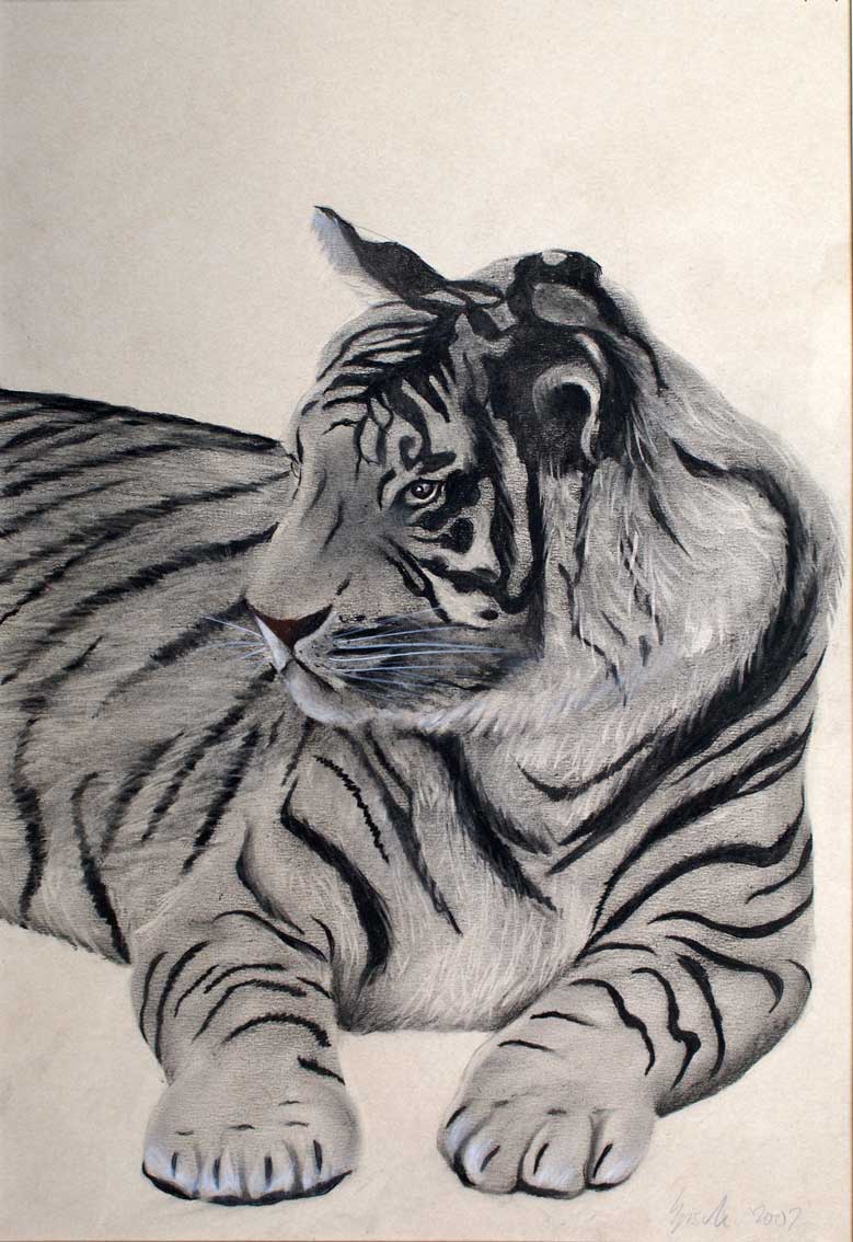  Tigre tigre Thierry Bisch artiste peintre animaux tableau art  nature biodiversité conservation  