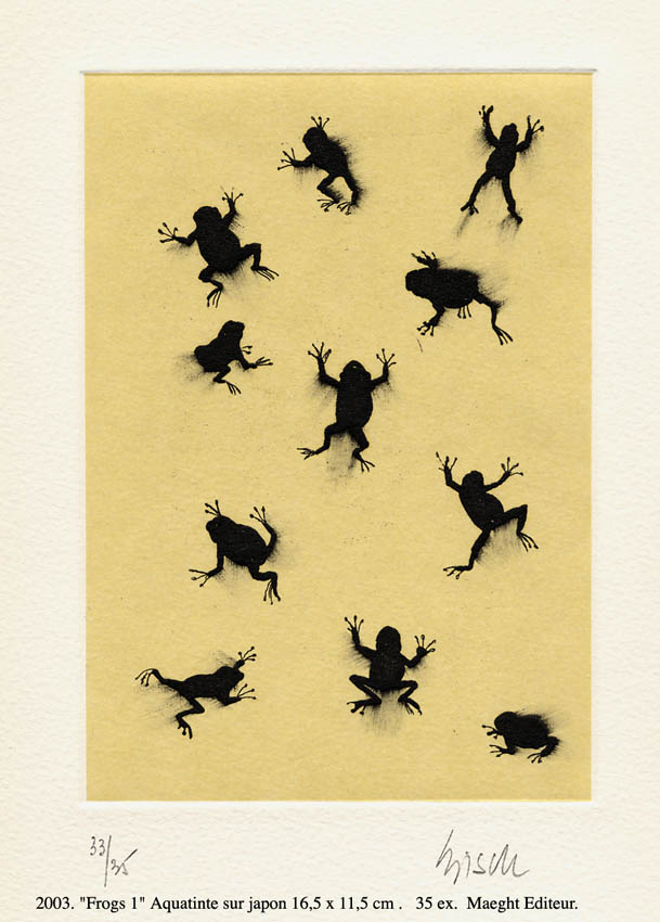 Frogs-1 Grenouille Thierry Bisch artiste peintre animaux tableau art  nature biodiversité conservation Monaco Prince-Albert Fondation-Prince-Albert-de-Monaco 