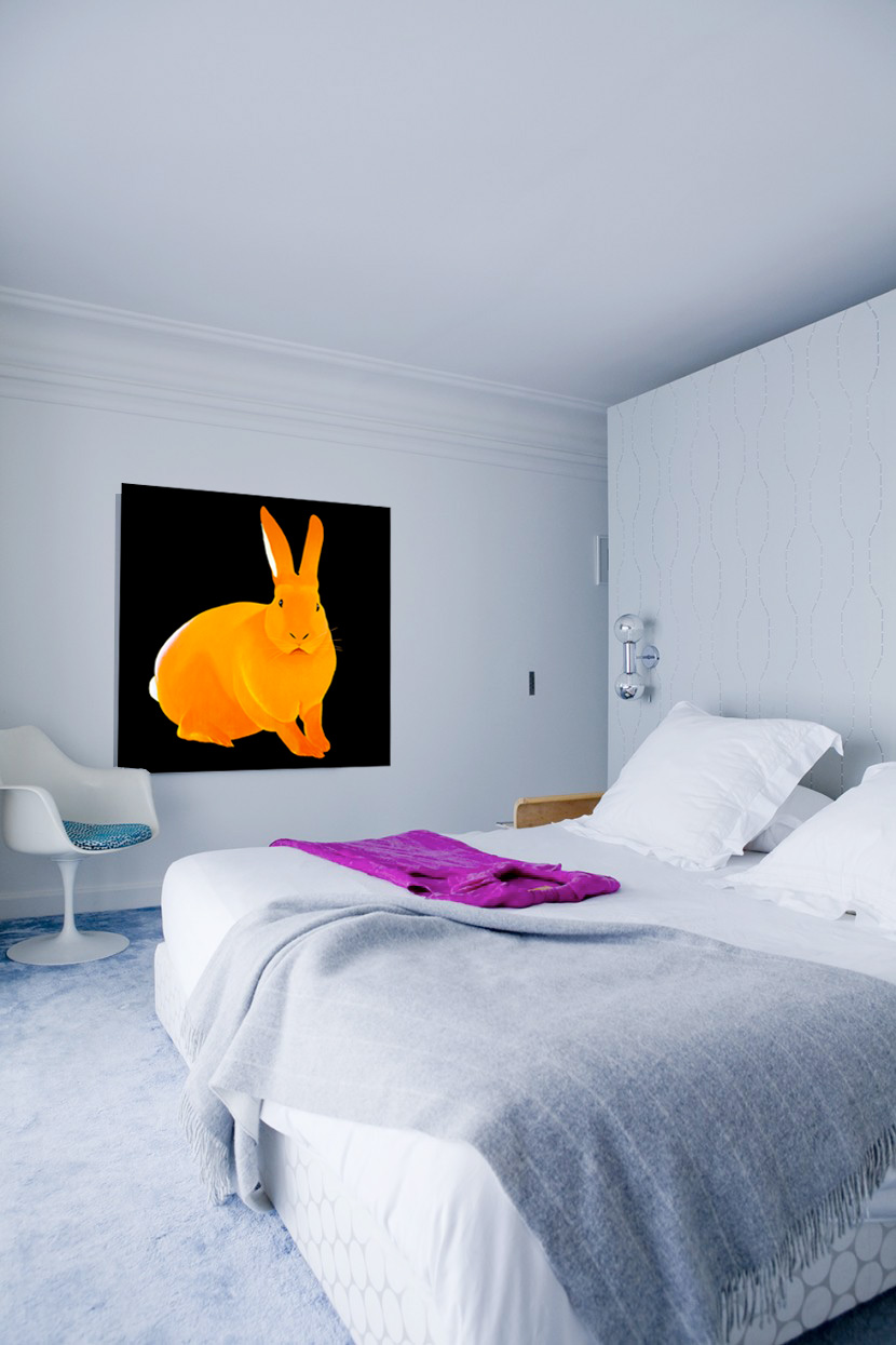 Orange Rabbit  Thierry Bisch artiste peintre contemporain animaux tableau art décoration biodiversité conservation 