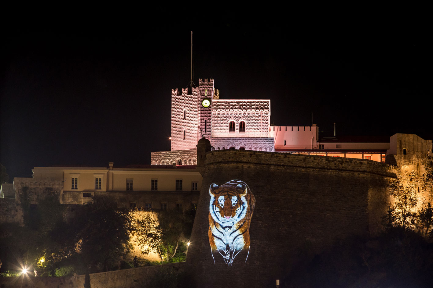 PROJ TIG-2 peinture-animalière Thierry Bisch artiste peintre animaux tableau art  nature biodiversité conservation Monaco Prince-Albert Fondation-Prince-Albert-de-Monaco 