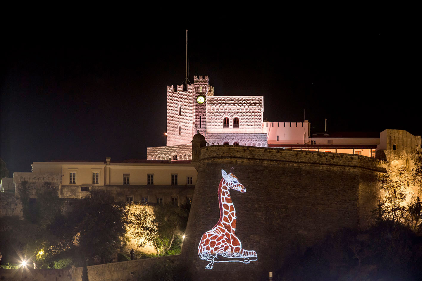 PROJECTION peinture-animalière Thierry Bisch artiste peintre animaux tableau art  nature biodiversité conservation Monaco Prince-Albert Fondation-Prince-Albert-de-Monaco 