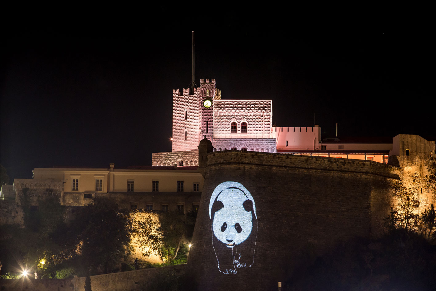 PROJECTION peinture-animalière Thierry Bisch artiste peintre animaux tableau art  nature biodiversité conservation Monaco Prince-Albert Fondation-Prince-Albert-de-Monaco 