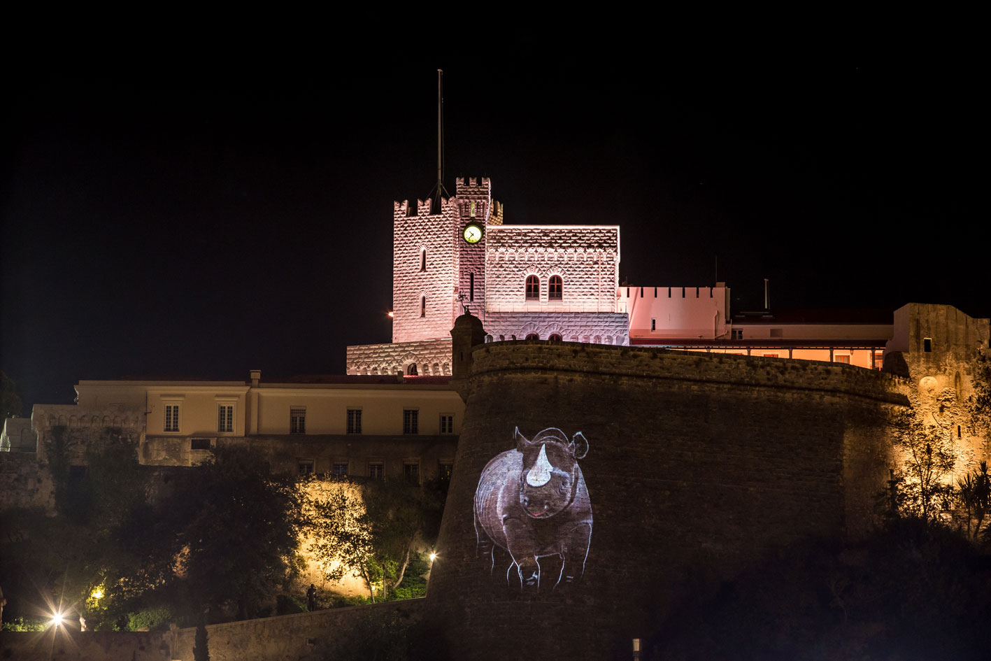 PROJECTION peinture-animalière Thierry Bisch artiste peintre animaux tableau art  nature biodiversité conservation Monaco Prince-Albert Fondation-Prince-Albert-de-Monaco 
