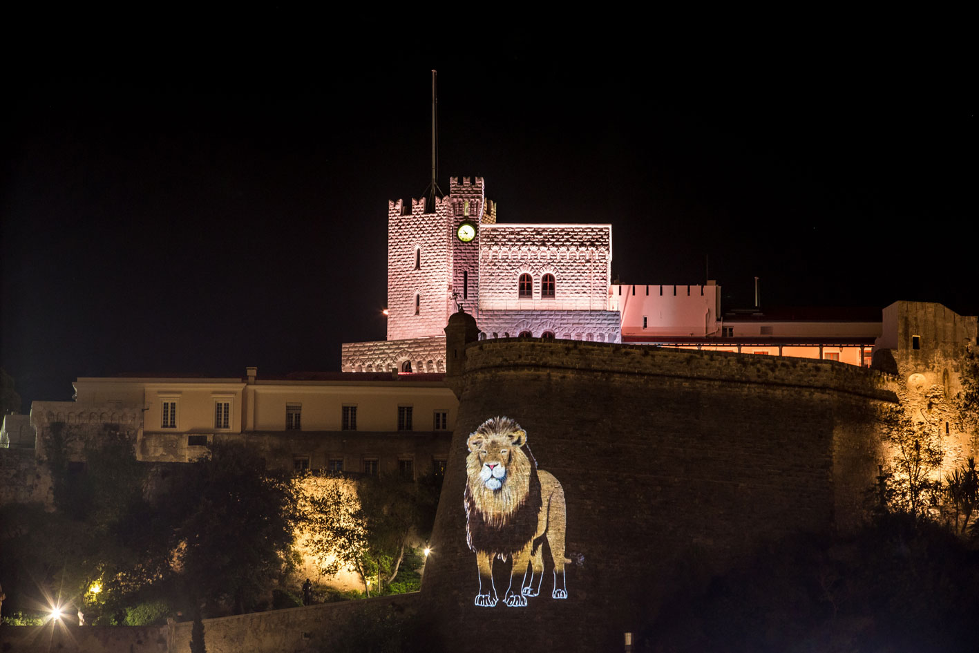 PROJECTION peinture-animalière Thierry Bisch artiste peintre animaux tableau art  nature biodiversité conservation Monaco Prince-Albert Fondation-Prince-Albert-de-Monaco 