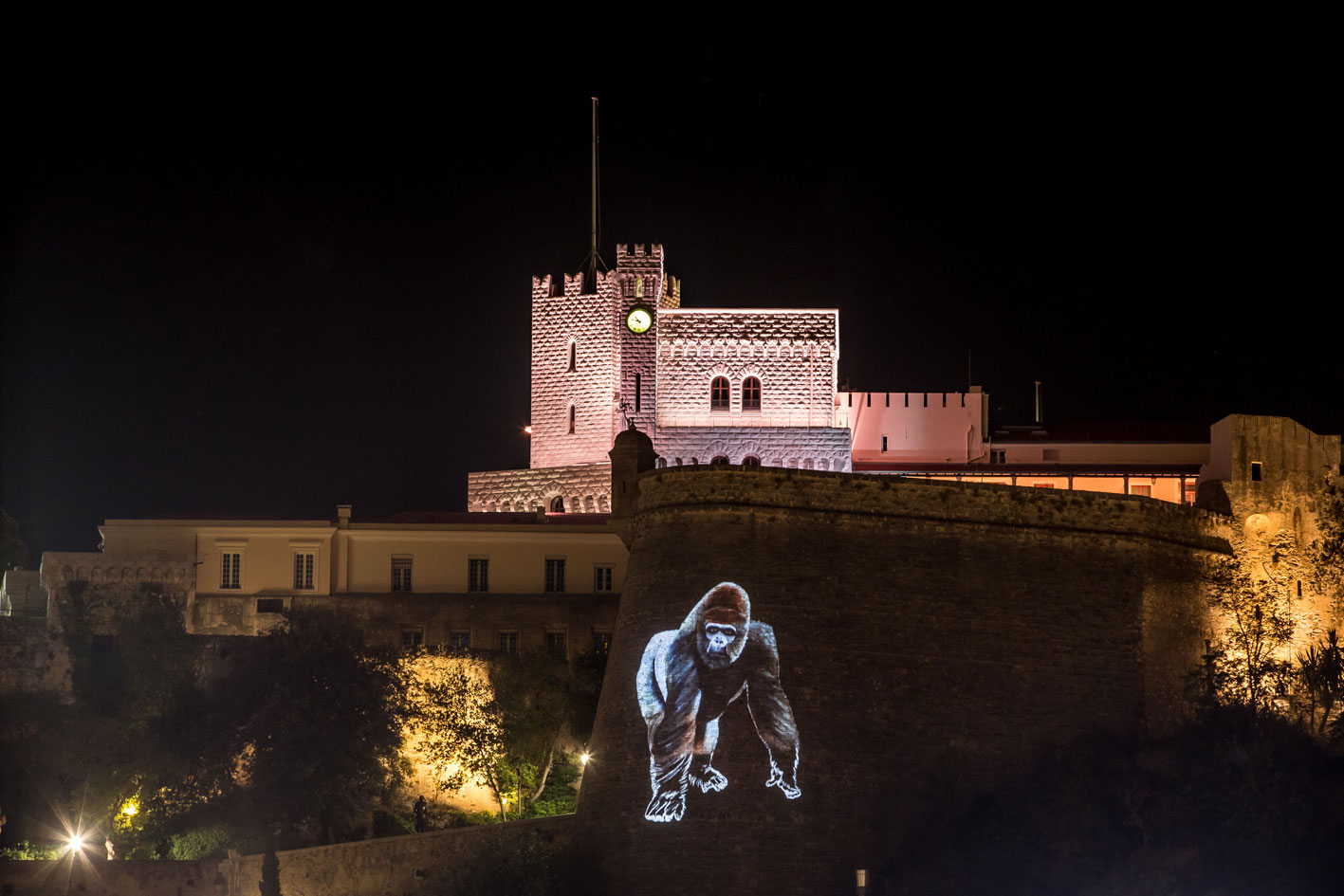 PROJECTION peinture-animalière Thierry Bisch artiste peintre animaux tableau art  nature biodiversité conservation Monaco Prince-Albert Fondation-Prince-Albert-de-Monaco 