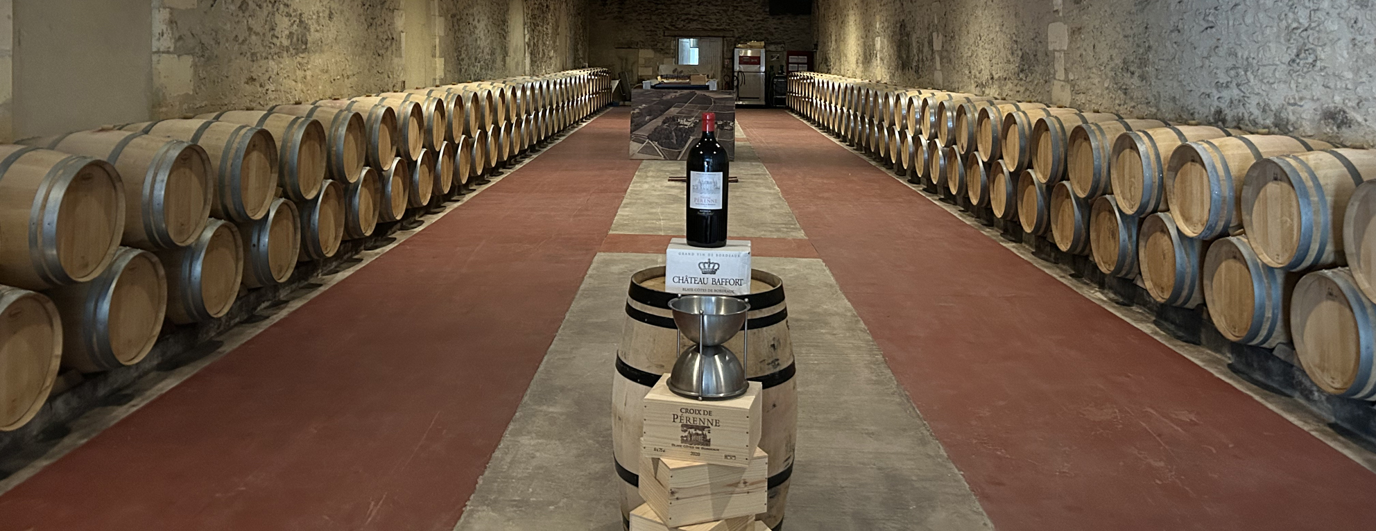 CHAI peinture-animalière Thierry Bisch artiste peintre animaux tableau art  nature biodiversité conservation Monaco Prince-Albert Fondation-Prince-Albert-de-Monaco 