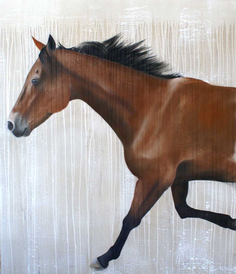 NEWMAC-03 cheval-Pur-sang-arabe Thierry Bisch artiste peintre animaux tableau art  nature biodiversité conservation Monaco Prince-Albert Fondation-Prince-Albert-de-Monaco 