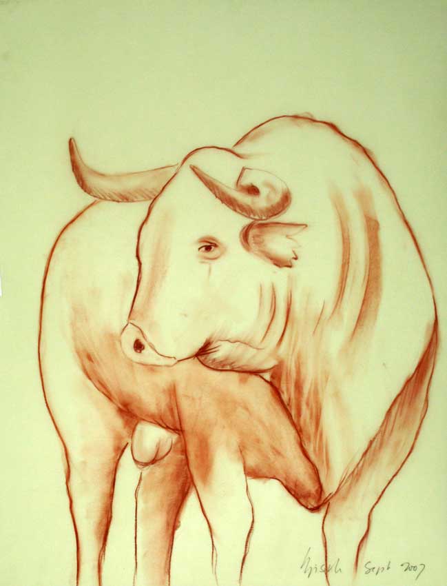 Bull 002 taureau Thierry Bisch artiste peintre animaux tableau art  nature biodiversité conservation  