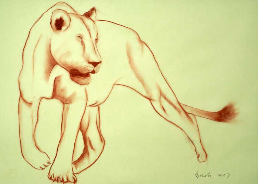 Lioness lion-lionne Thierry Bisch artiste peintre animaux tableau art  nature biodiversité conservation  