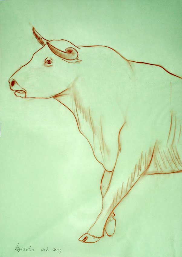 Bull 004 taureau Thierry Bisch artiste peintre animaux tableau art  nature biodiversité conservation  