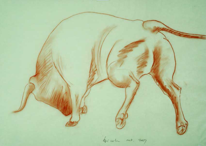Bull 005 taureau Thierry Bisch artiste peintre animaux tableau art  nature biodiversité conservation  
