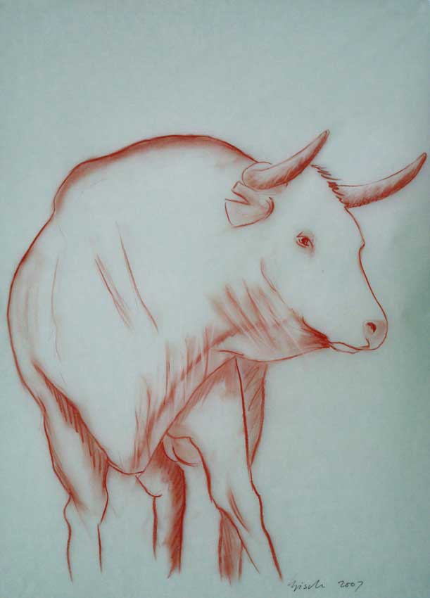 Bull 001 taureau Thierry Bisch artiste peintre animaux tableau art  nature biodiversité conservation  