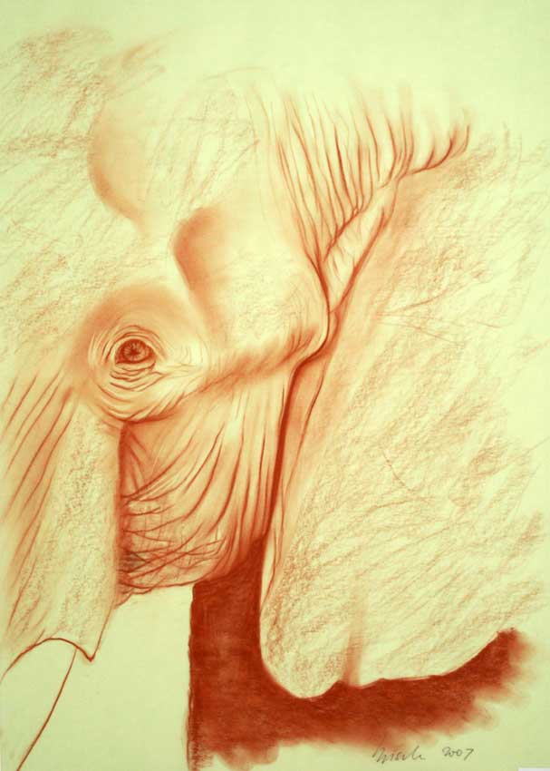 Elephant  003 peinture-animalière Thierry Bisch artiste peintre animaux tableau art  nature biodiversité conservation  