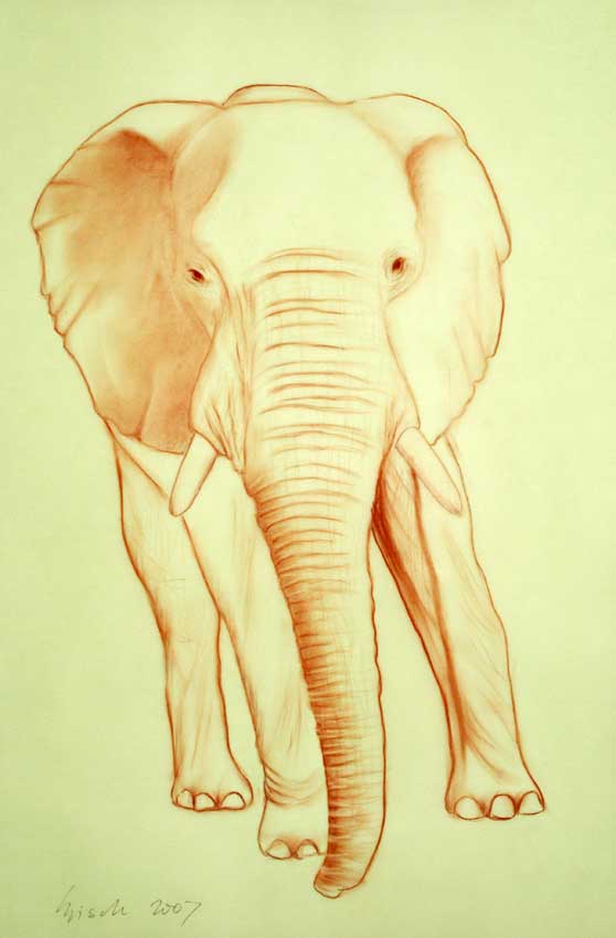 Elephant  004 peinture-animalière Thierry Bisch artiste peintre animaux tableau art  nature biodiversité conservation  