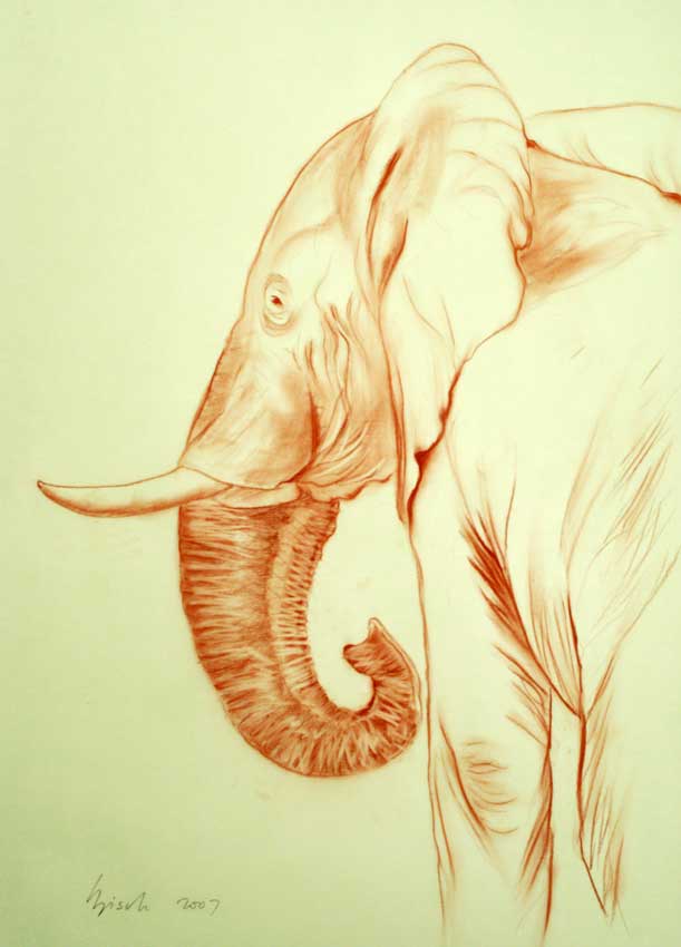 Elephant 002 élephant-elephant Thierry Bisch artiste peintre animaux tableau art  nature biodiversité conservation  