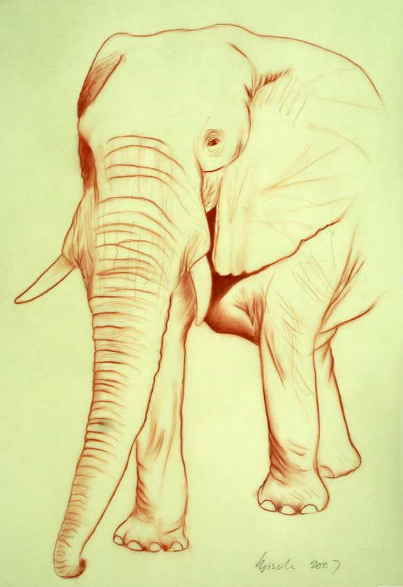 Elephant 005 peinture-animalière Thierry Bisch artiste peintre animaux tableau art  nature biodiversité conservation  