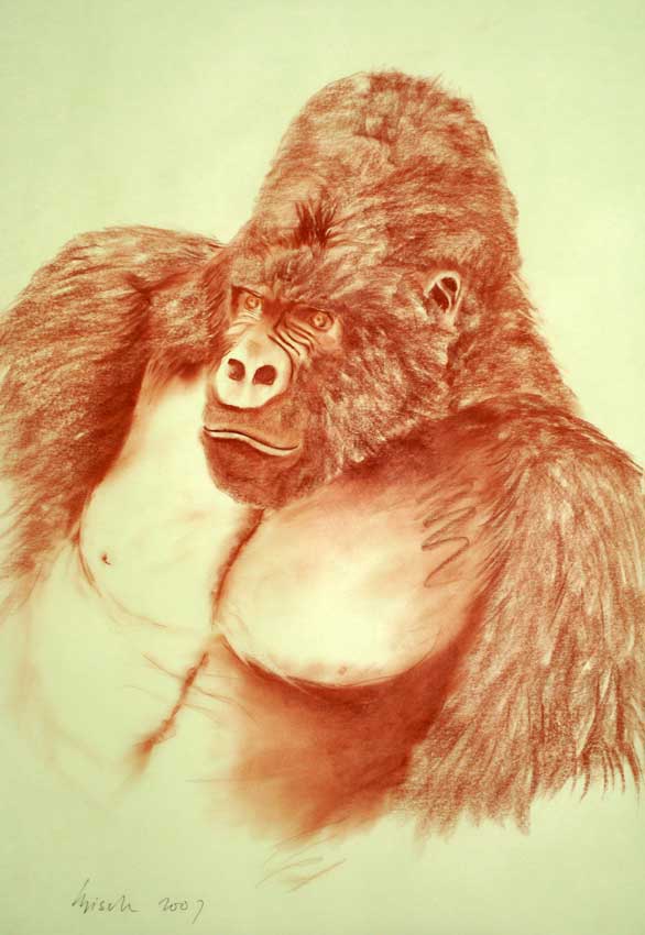 Gorilla Gorille-singe Thierry Bisch artiste peintre animaux tableau art  nature biodiversité conservation  