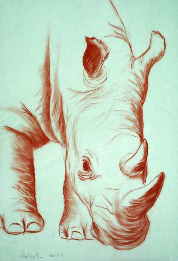 Rhino peinture-animalière Thierry Bisch artiste peintre animaux tableau art  nature biodiversité conservation  