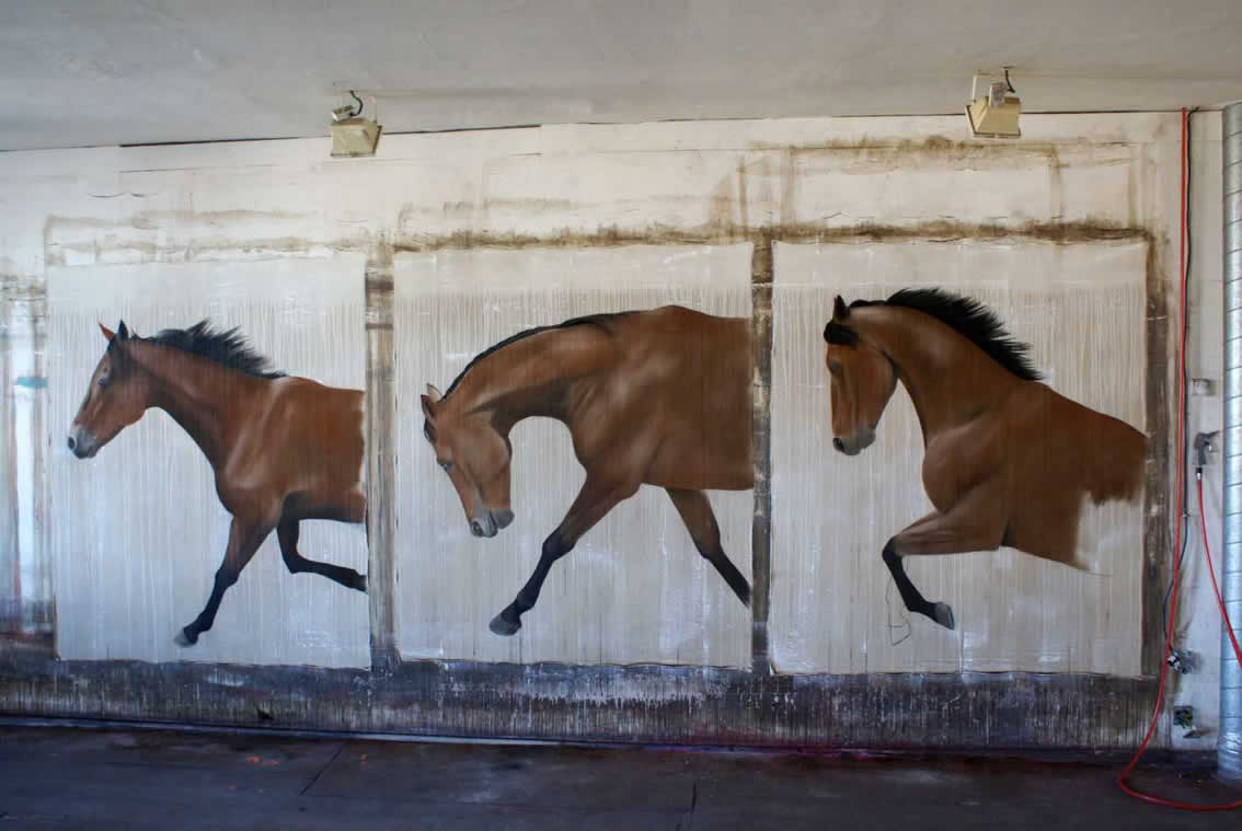 Newmac cheval-Pur-sang-arabe Thierry Bisch artiste peintre animaux tableau art  nature biodiversité conservation  