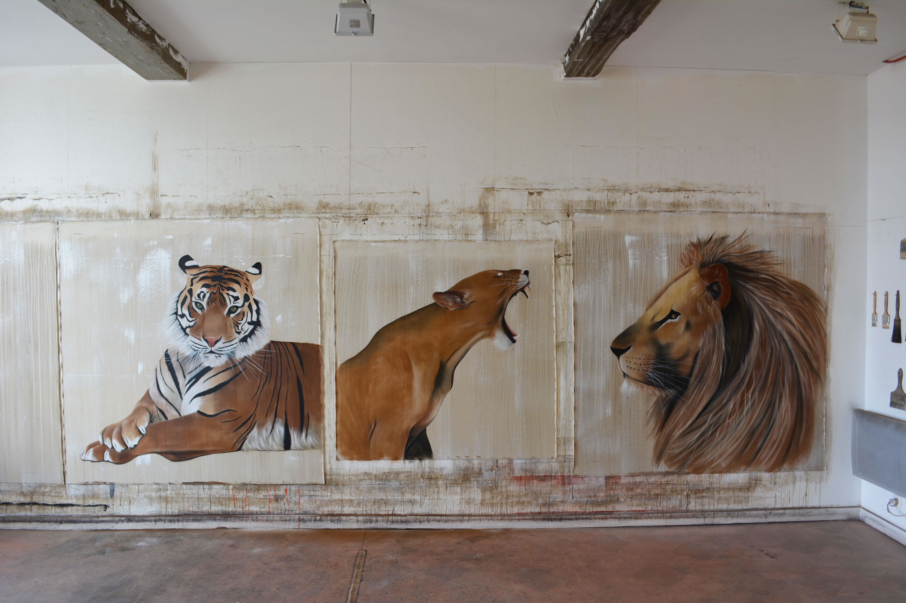 Fauves lionne-tigre-du-Bengale-royal-LION Thierry Bisch artiste peintre animaux tableau art  nature biodiversité conservation  