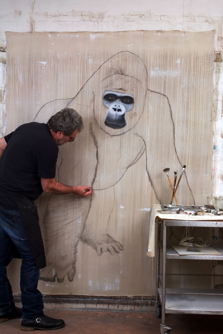 Gorilla gorilla gorilla gorille-gorilla-primate-dos-argenté-singe-hominoïdes-extinction-protégé-disparition Thierry Bisch artiste peintre animaux tableau art  nature biodiversité conservation Monaco Prince-Albert Fondation-Prince-Albert-de-Monaco 