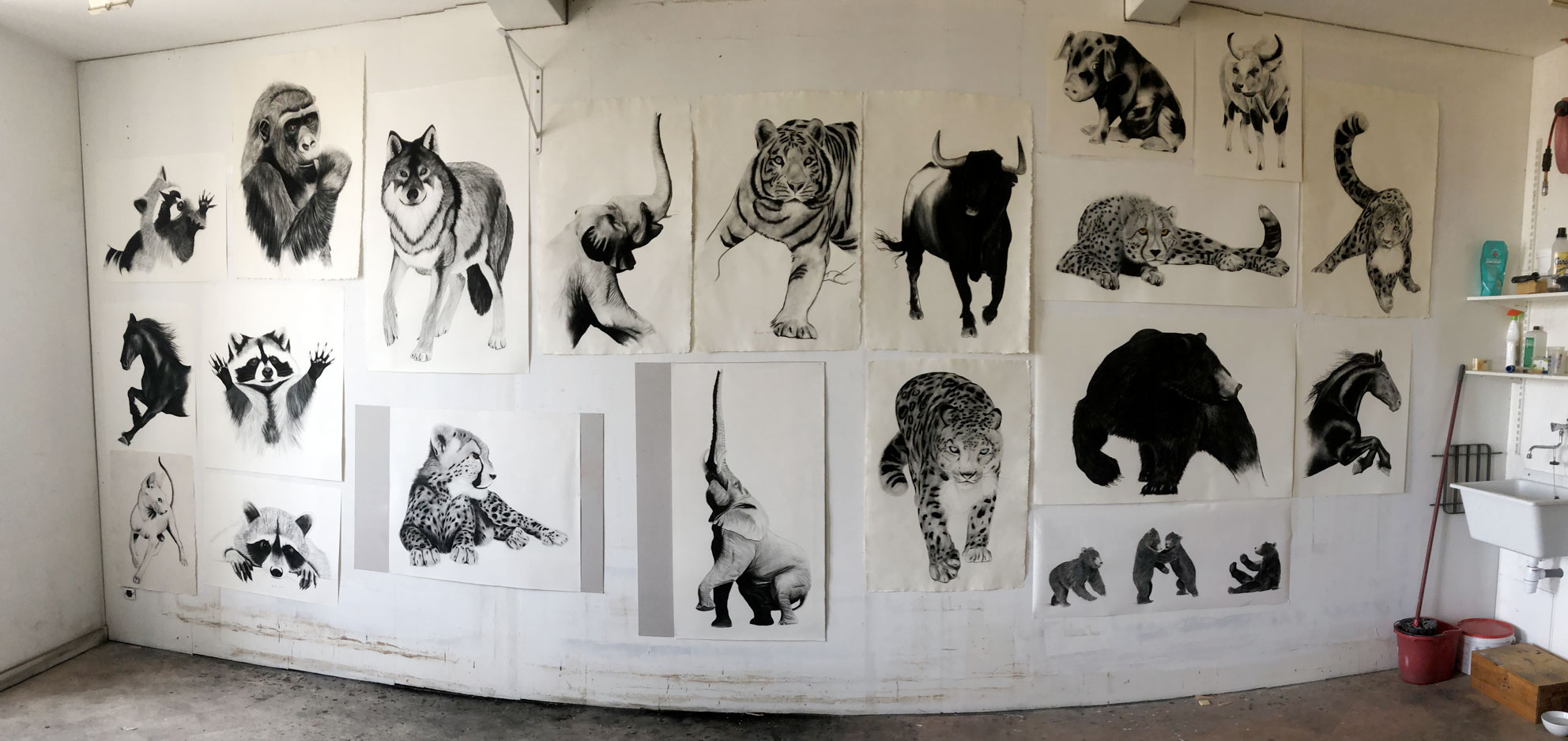 Studio-Mars-2022 peinture-animalière Thierry Bisch artiste peintre animaux tableau art  nature biodiversité conservation  