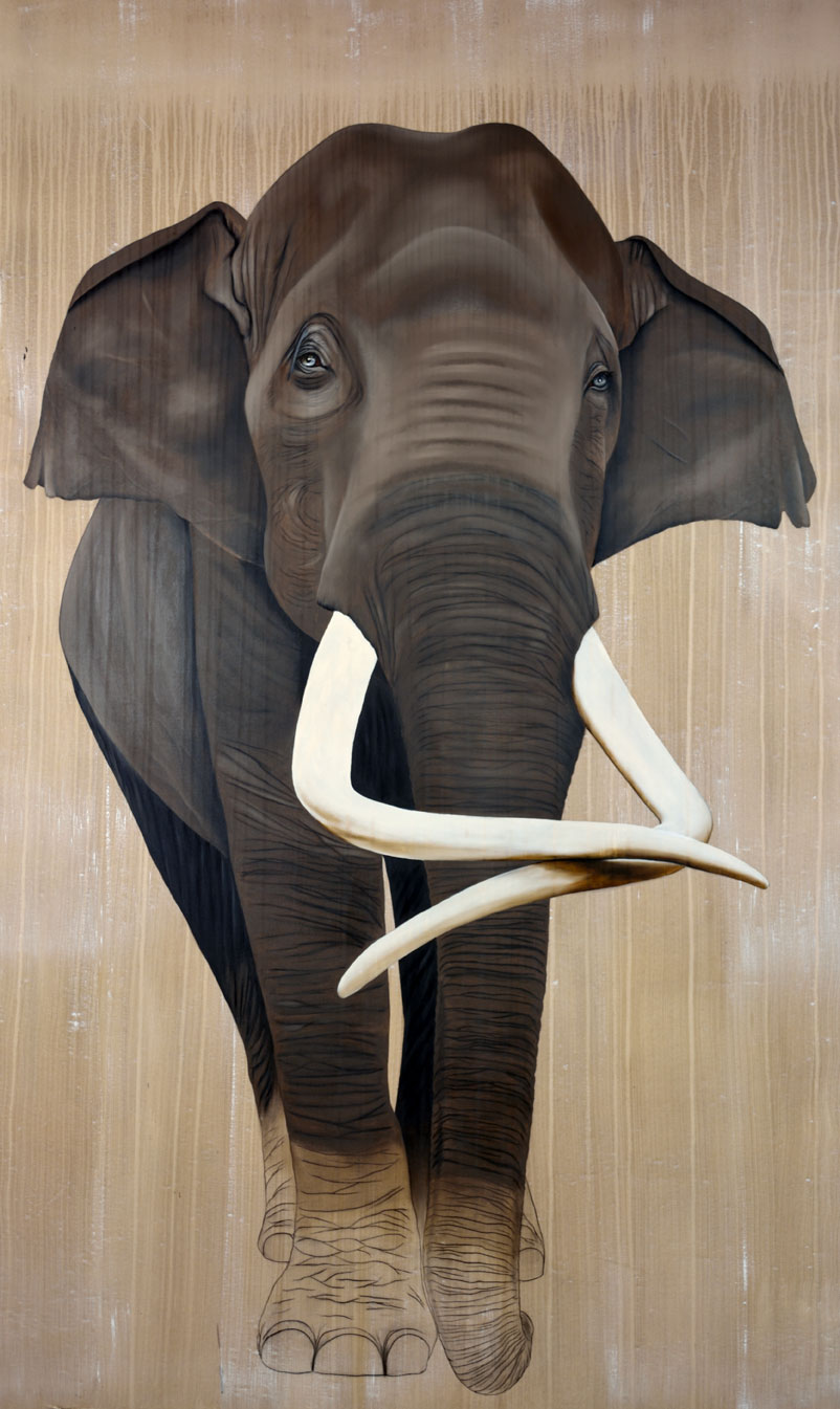 ELEPHAS MAXIMUS elephas-maximus-elephant-d-asie-extinction-protégé-disparition- Thierry Bisch artiste peintre contemporain animaux tableau art décoration biodiversité conservation 