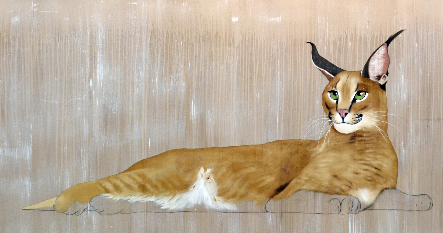 CARACAL caracal-lynx-du-désert-de-perse Thierry Bisch artiste peintre contemporain animaux tableau art décoration biodiversité conservation 