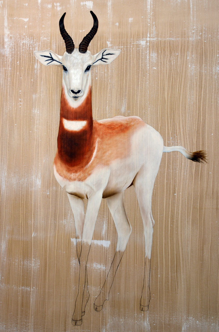 GAZELLA-DAMA gazelle-dama-damas-delete-extinction-protégé-disparition Thierry Bisch artiste peintre animaux tableau art  nature biodiversité conservation  