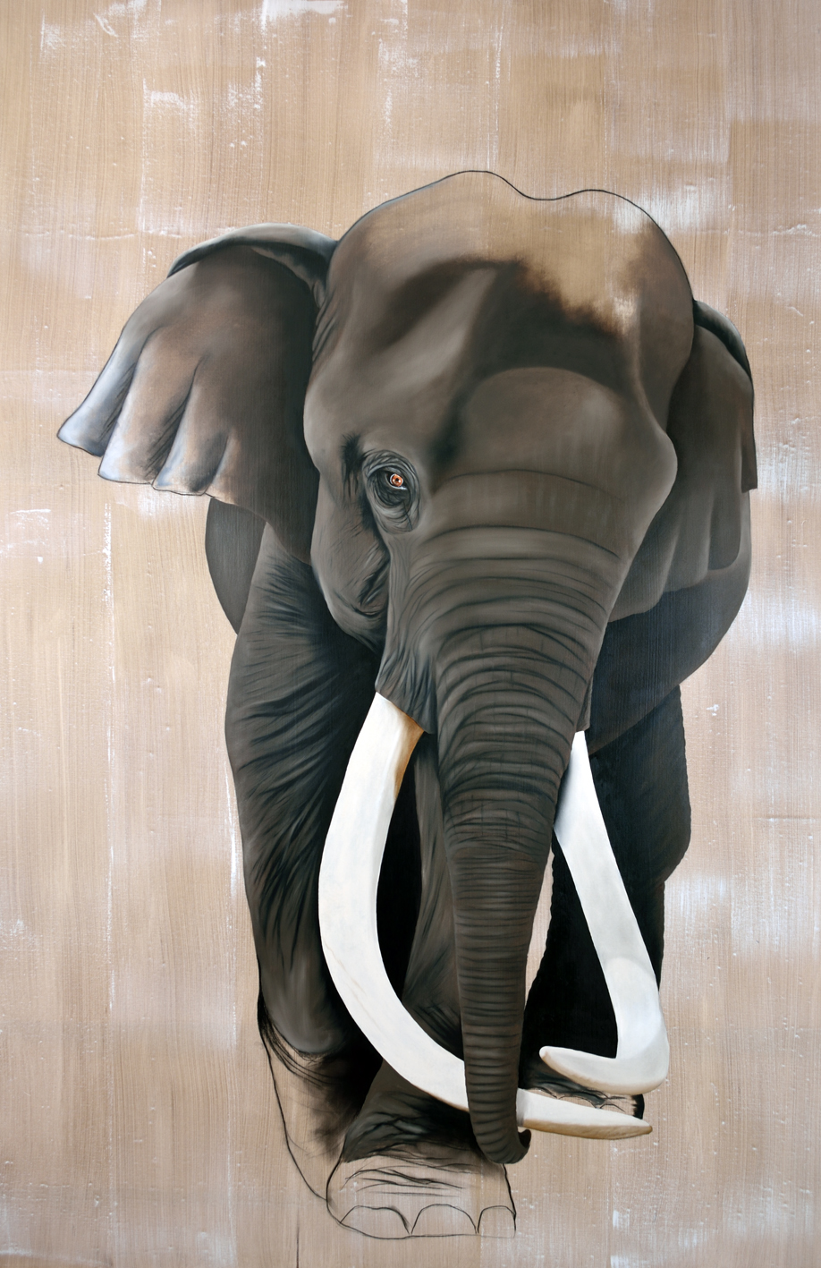ELEPHAS-MAXIMUS éléphant-elephas-maximus Thierry Bisch artiste peintre animaux tableau art  nature biodiversité conservation  