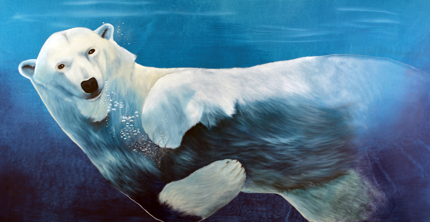 URSUS-MARITIMUS--3 ours-polaire-blanc-sous-l`eau-ursus-maritimus Thierry Bisch artiste peintre animaux tableau art  nature biodiversité conservation  