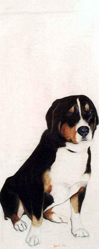 Chien Bouvier dog-bouvier-dog-pet-sheep-dog Thierry Bisch Contemporary painter animals painting art  nature biodiversity conservation Monaco Prince-Albert Prince-Albert-of-Monaco 